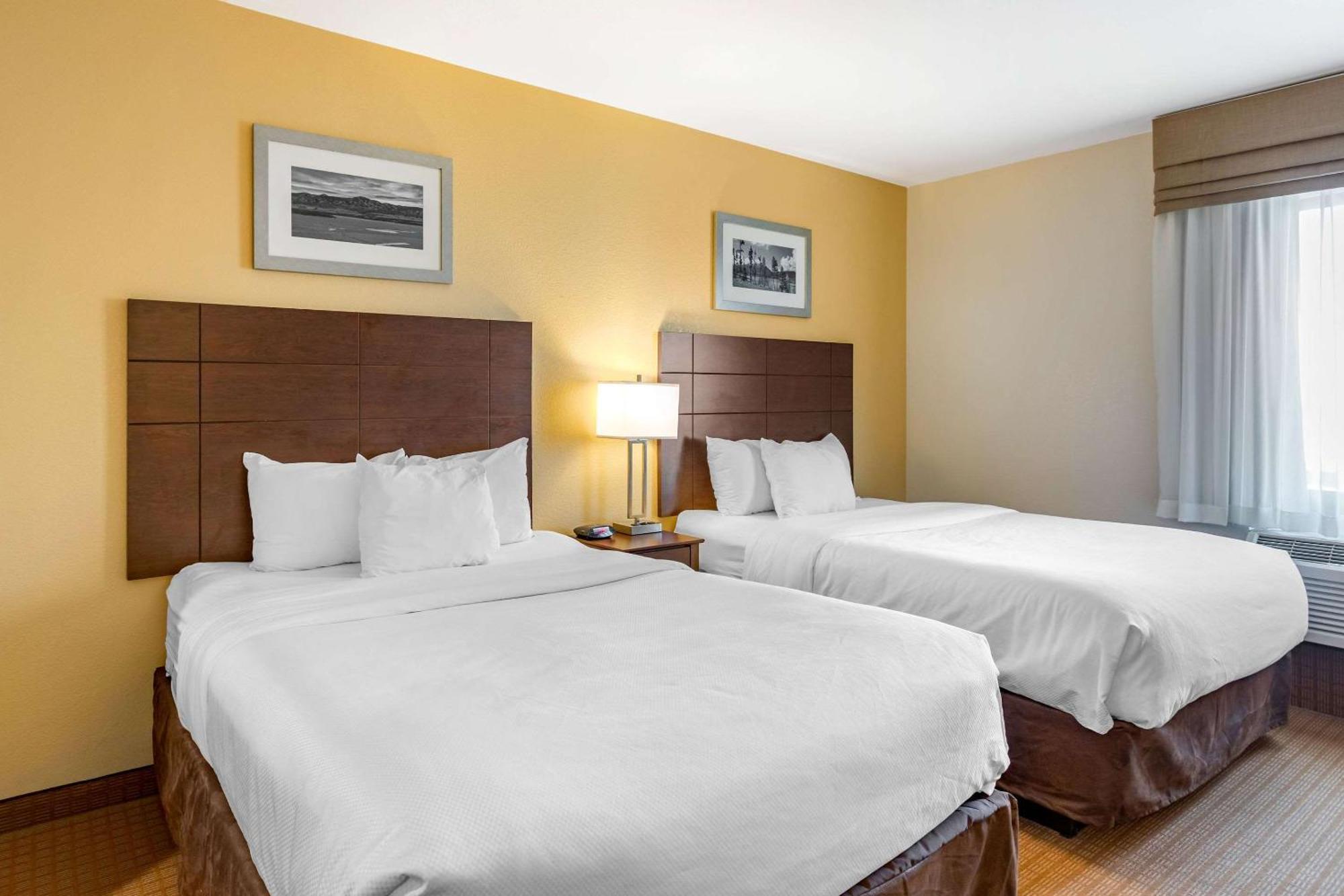 Mainstay Suites Near Denver Downtown Dış mekan fotoğraf